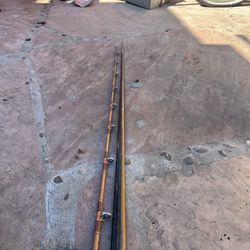Saltwater rods