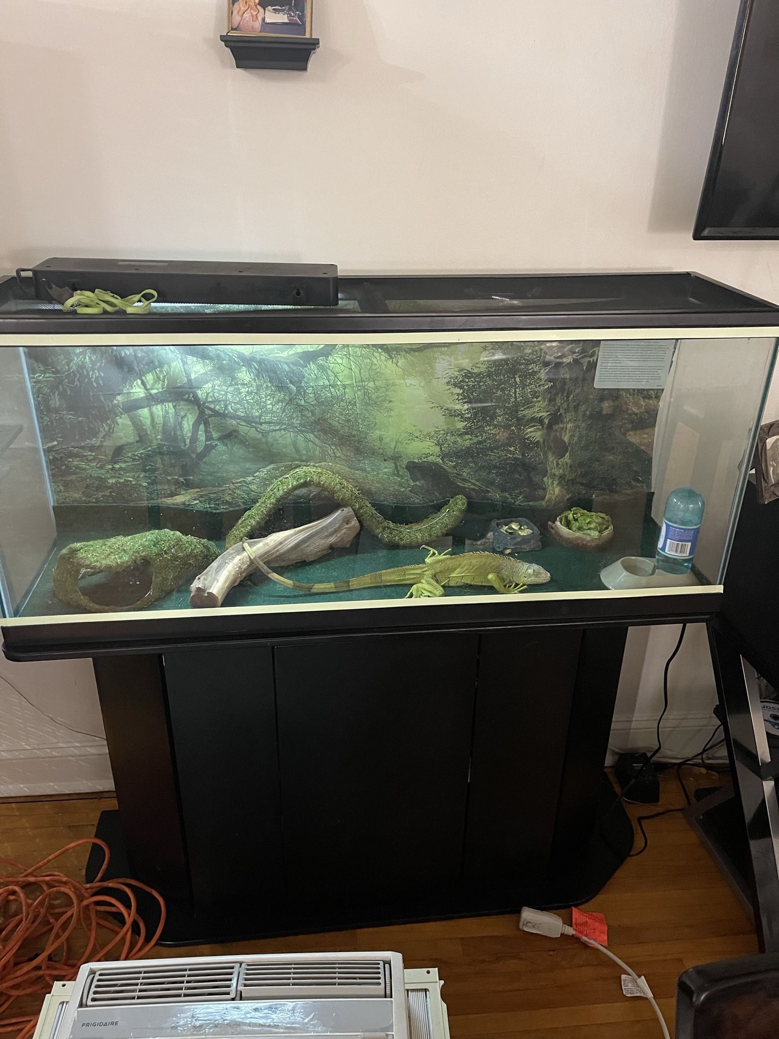 55’ Gallon Tank