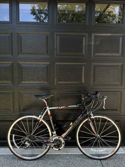 Fuji Professional 1.0 Full Carbon Road Bike