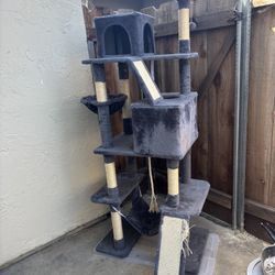 Tall cat tree