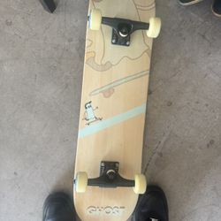 complete skateboard set up