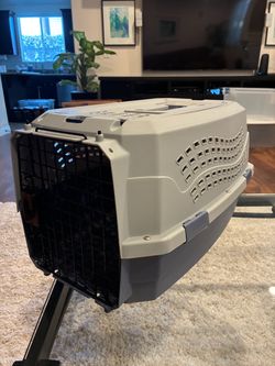 Pet Travel Carrier
