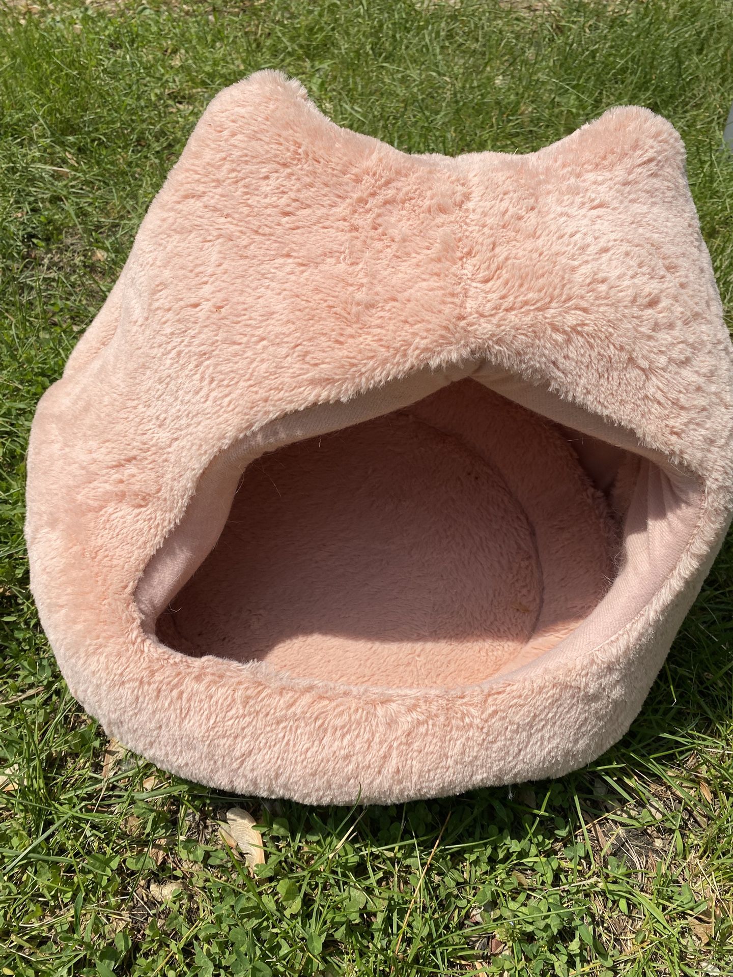 Cat Pet Bed