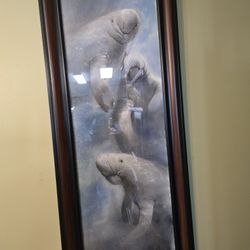 Manatee  Painting