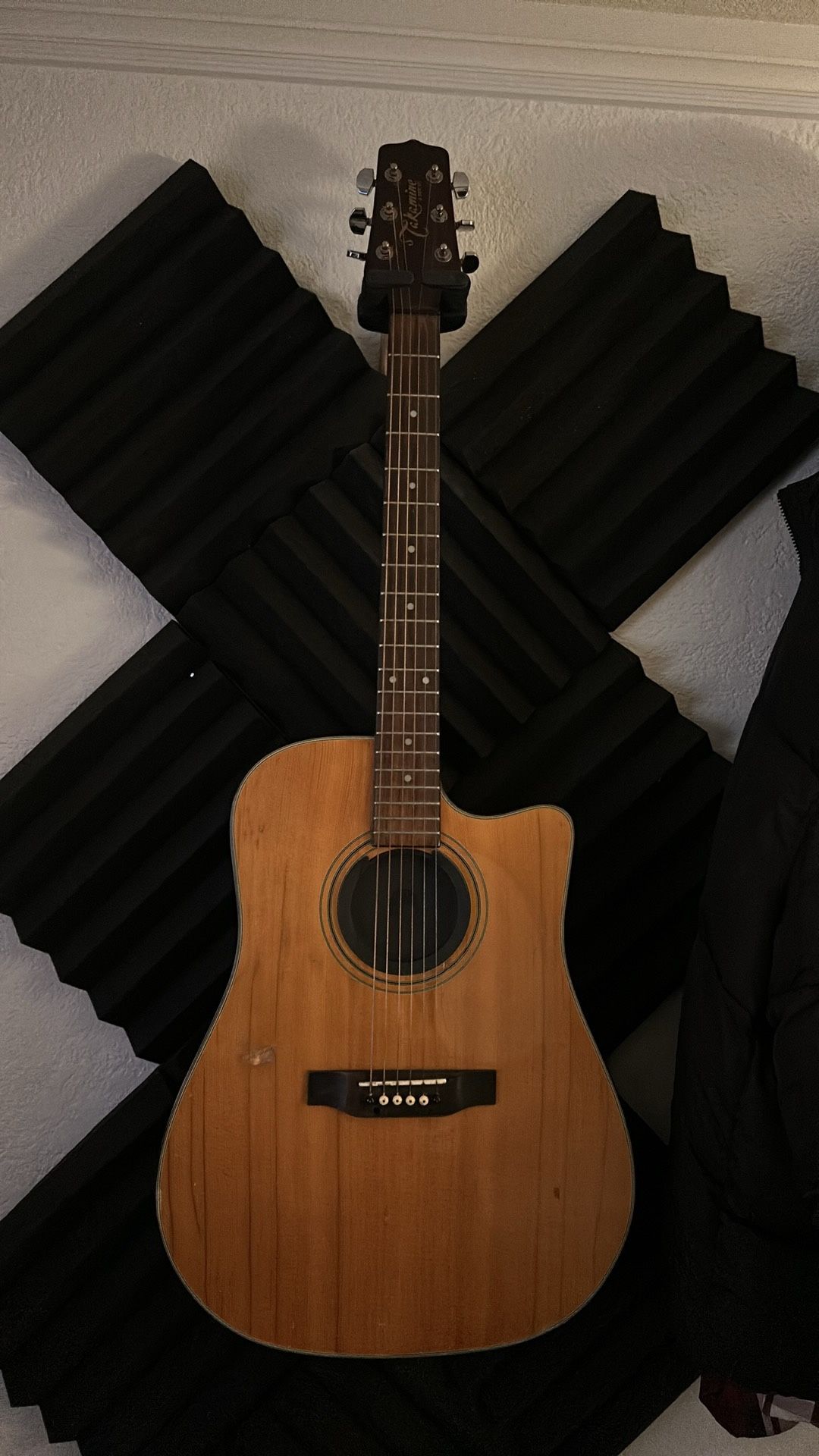 Takamine G Series