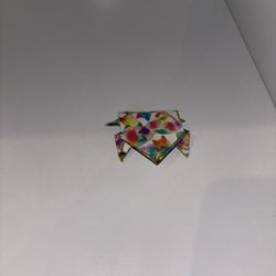 Rainbow Frog Origami