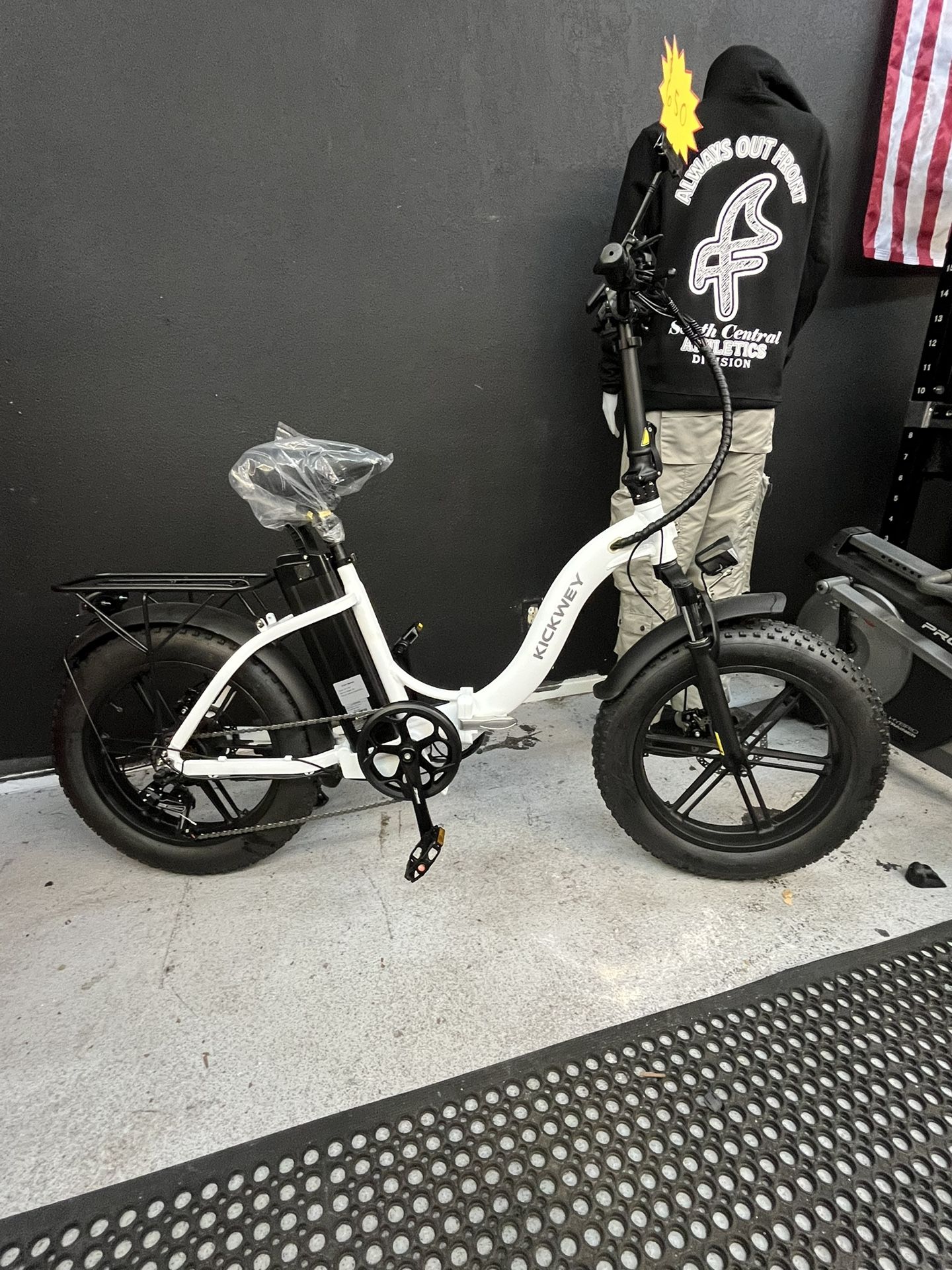 Electric Bike