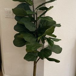 Like New Fake  Plant Size 58” Inches Tall 