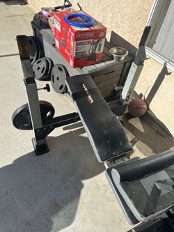 weight Bench