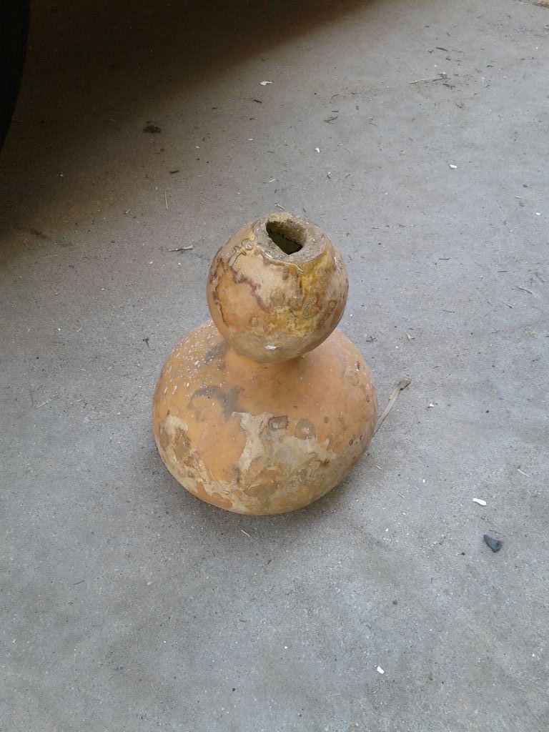 Tecomate o bule de calabaza para agua
