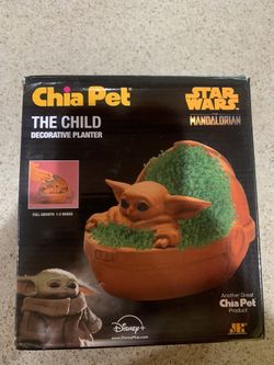 Chia Pet