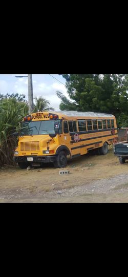 97 Bus international