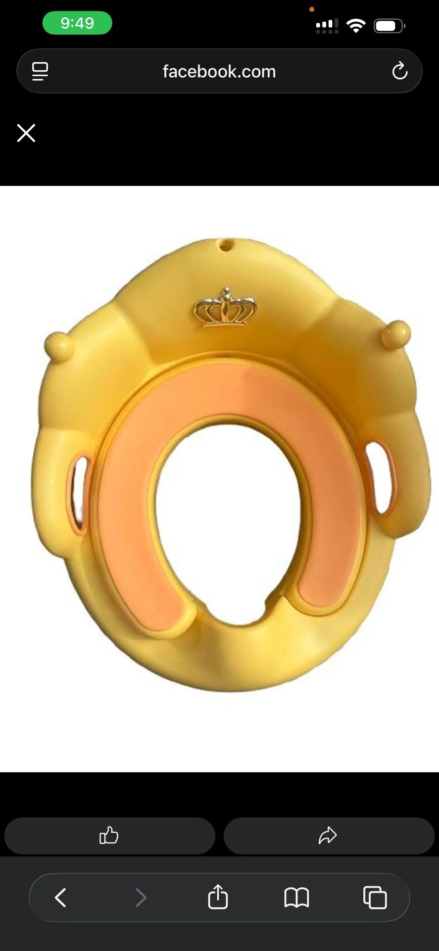 Potty Seat