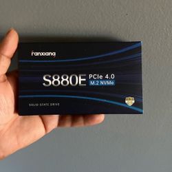 Fanxiang 1TB SSD 