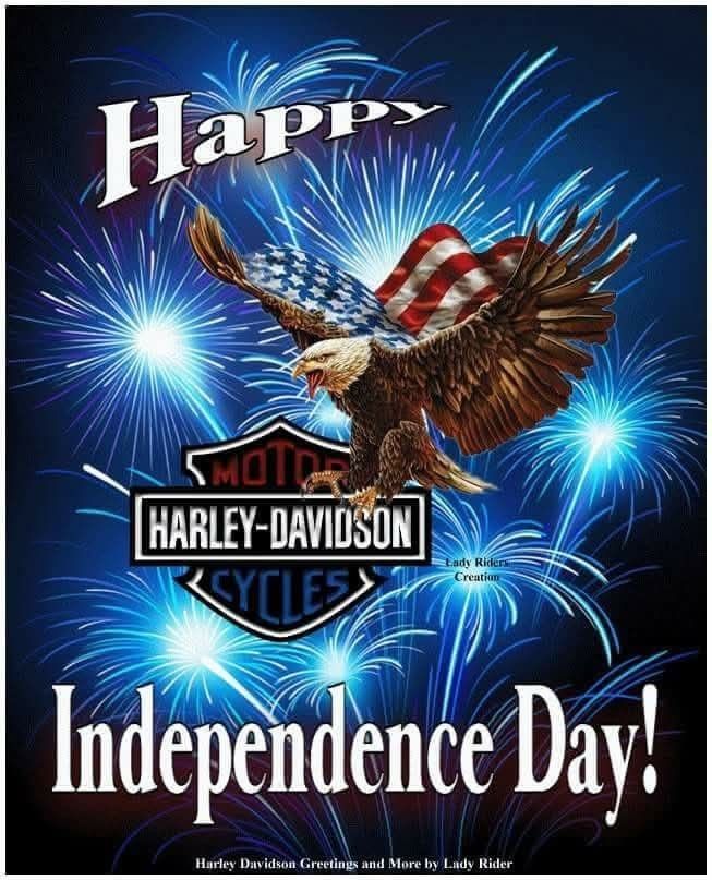 Today Only The Big Independence Day Sale