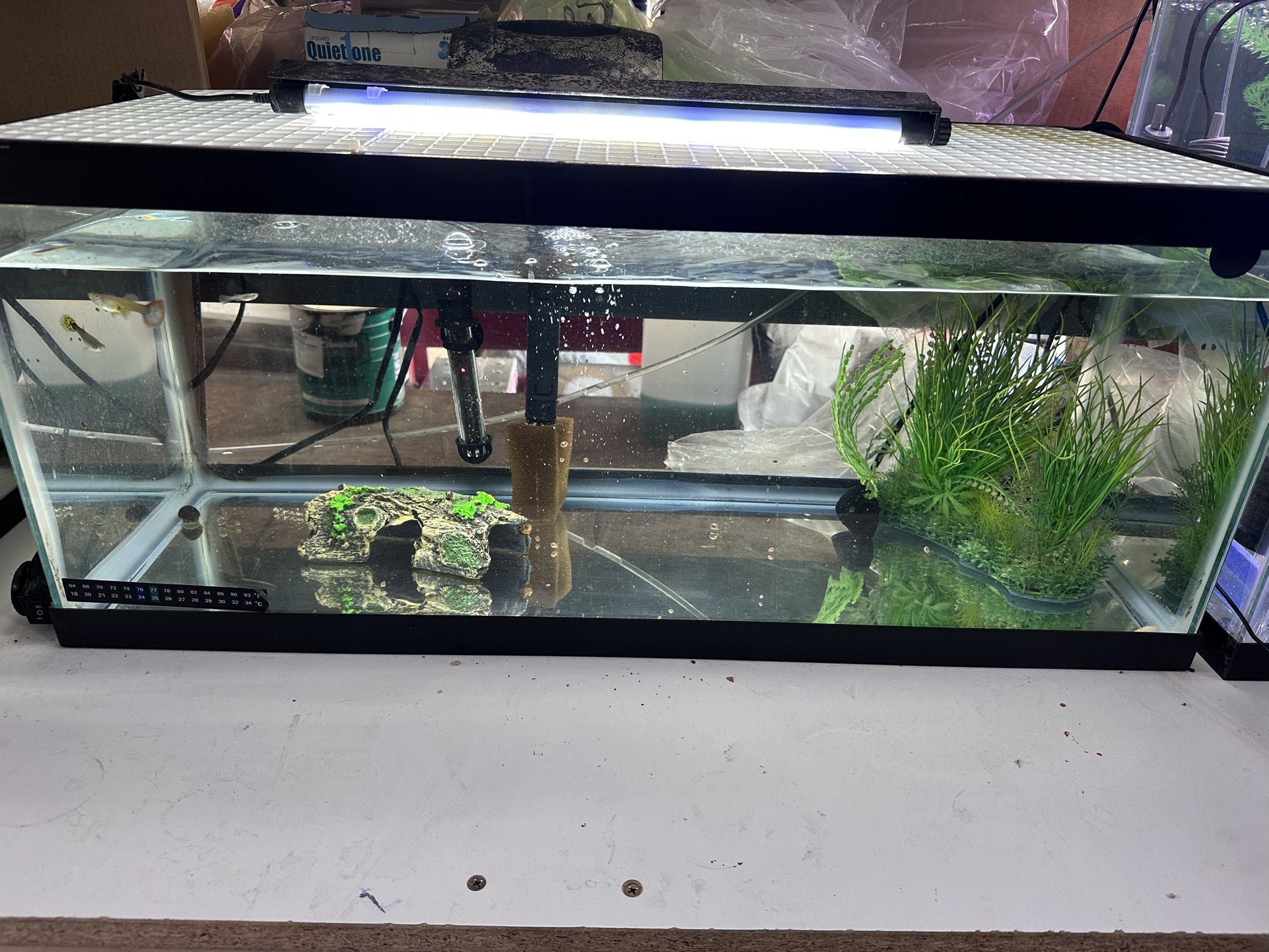 20 gallon long aquarium/fish tank with everything included