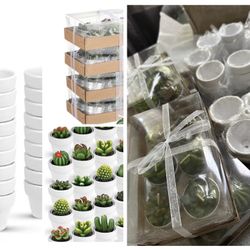 24-Pcs Succulent Cactus Decorative Tealight Baby Shower Plant Candles Bridal Shower Novelty Handmade Tealight Terrarium Plant Candles for Fiesta Birth