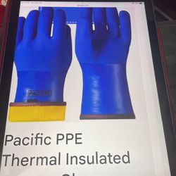 Gloves