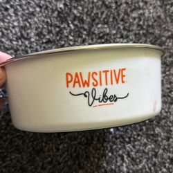 Dog Bowl