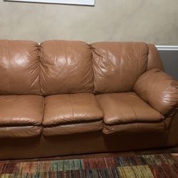 Leather Sofa/Pull-Out Sleeper