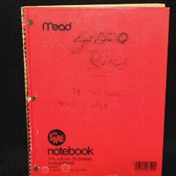Kurt Cobain Journals