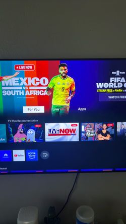 55” TV with Mount