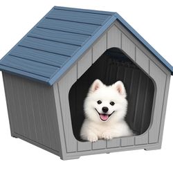 Dog House