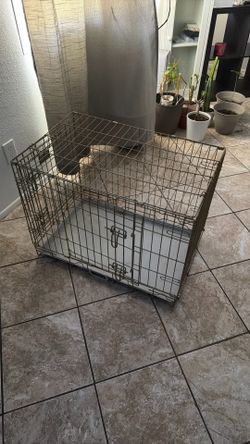 Dog cage