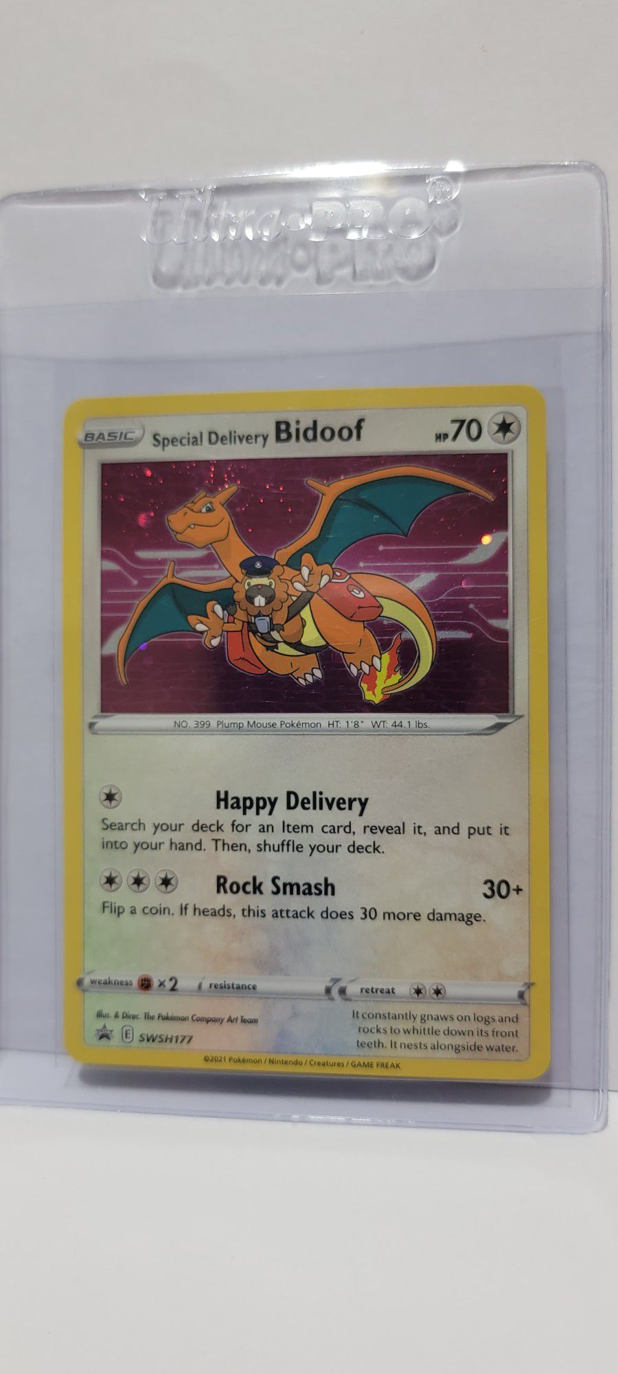 Special Delivery Bidoof With Swirl