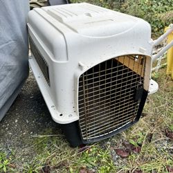 Dog Cage