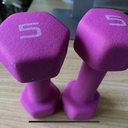 Pair of 5 lb Dumbbells