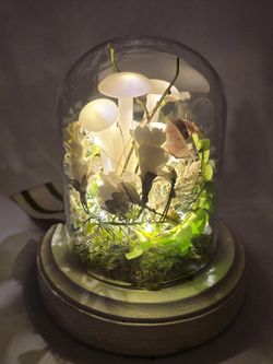 Lighted Night Mushroom Garden Under Glass