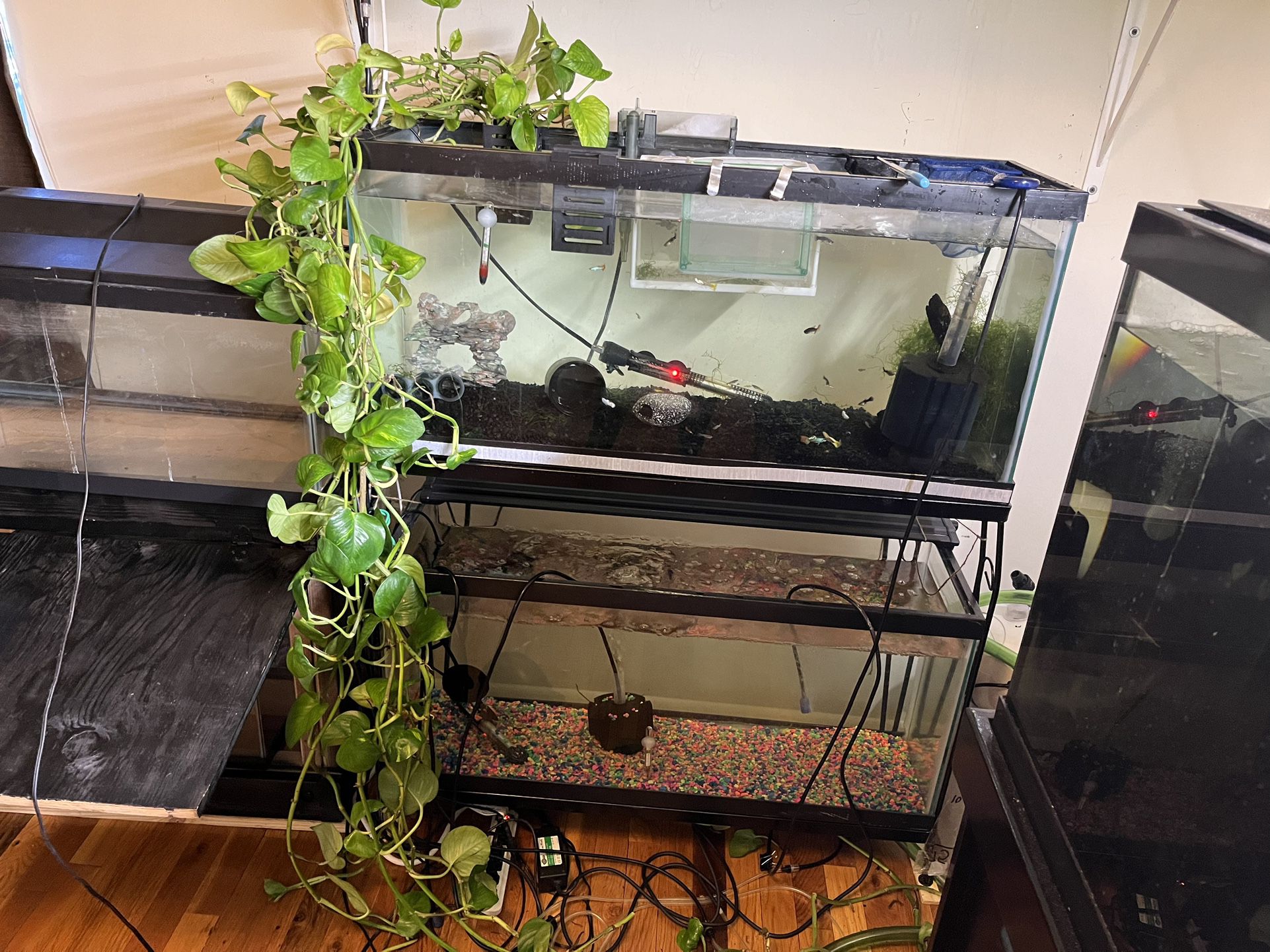 Fish Tanks With Stand