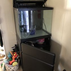 Fish Aquarium Red Sea 