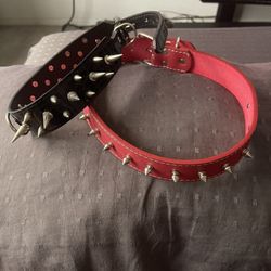 Dog Collars