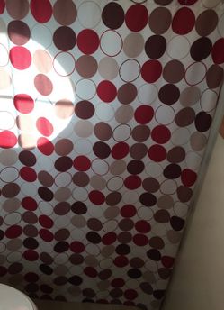 Shower curtain
