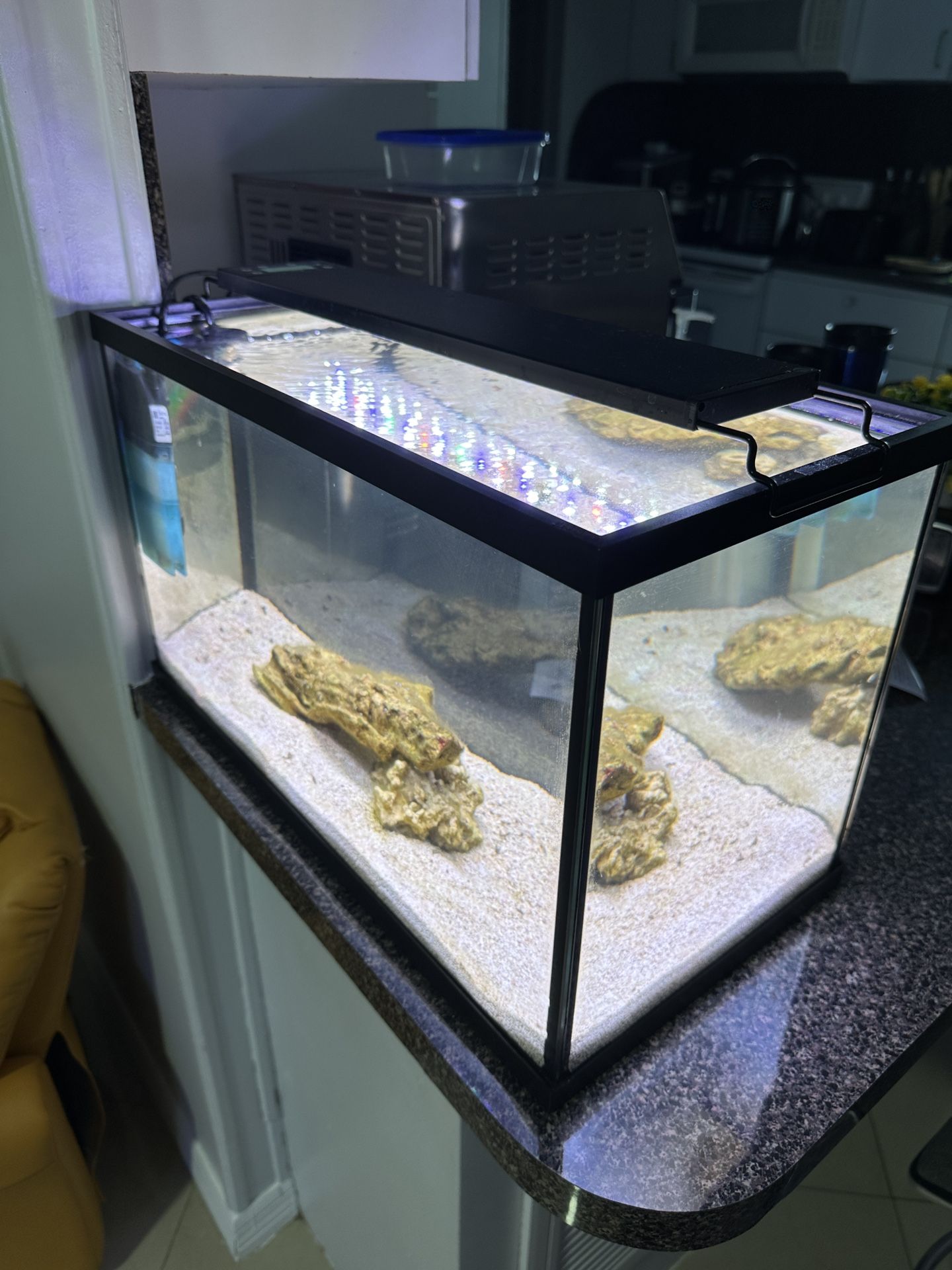 Saltwater Tank