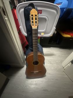 Raimudo Guitar