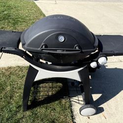 Weber Grill Q 300 Series 