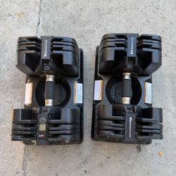 BowFlex SelectTech 560 Dumbbells