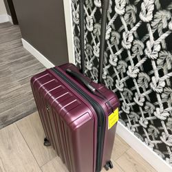 DELSEY Paris Titanium 25” Hardside Expandable Spinner Checked Luggage Suitcase