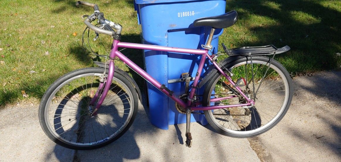 Vintage Bike Raleigh Chromica RC