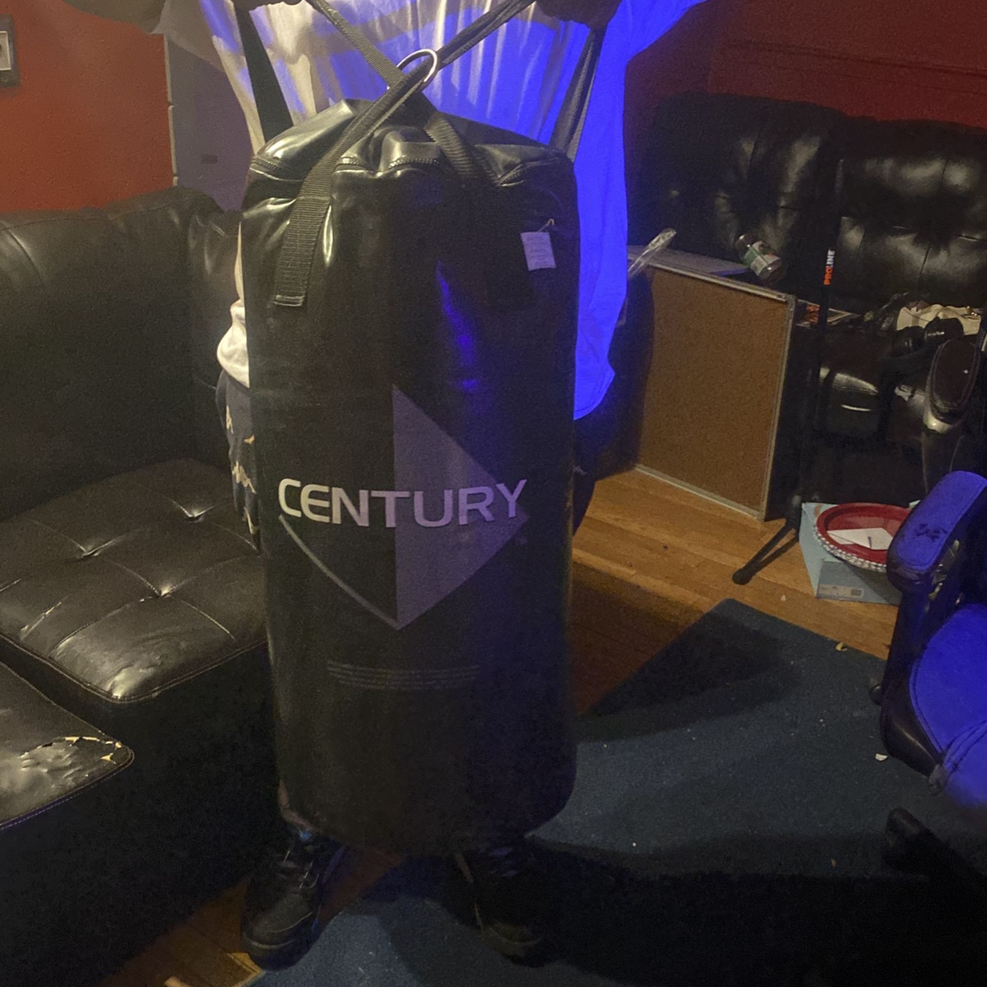 Punching Bag