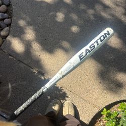 Easton Ghost bat