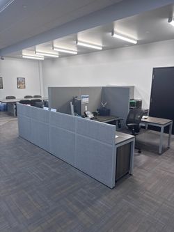 Full size tall office divider panels ($30 each)