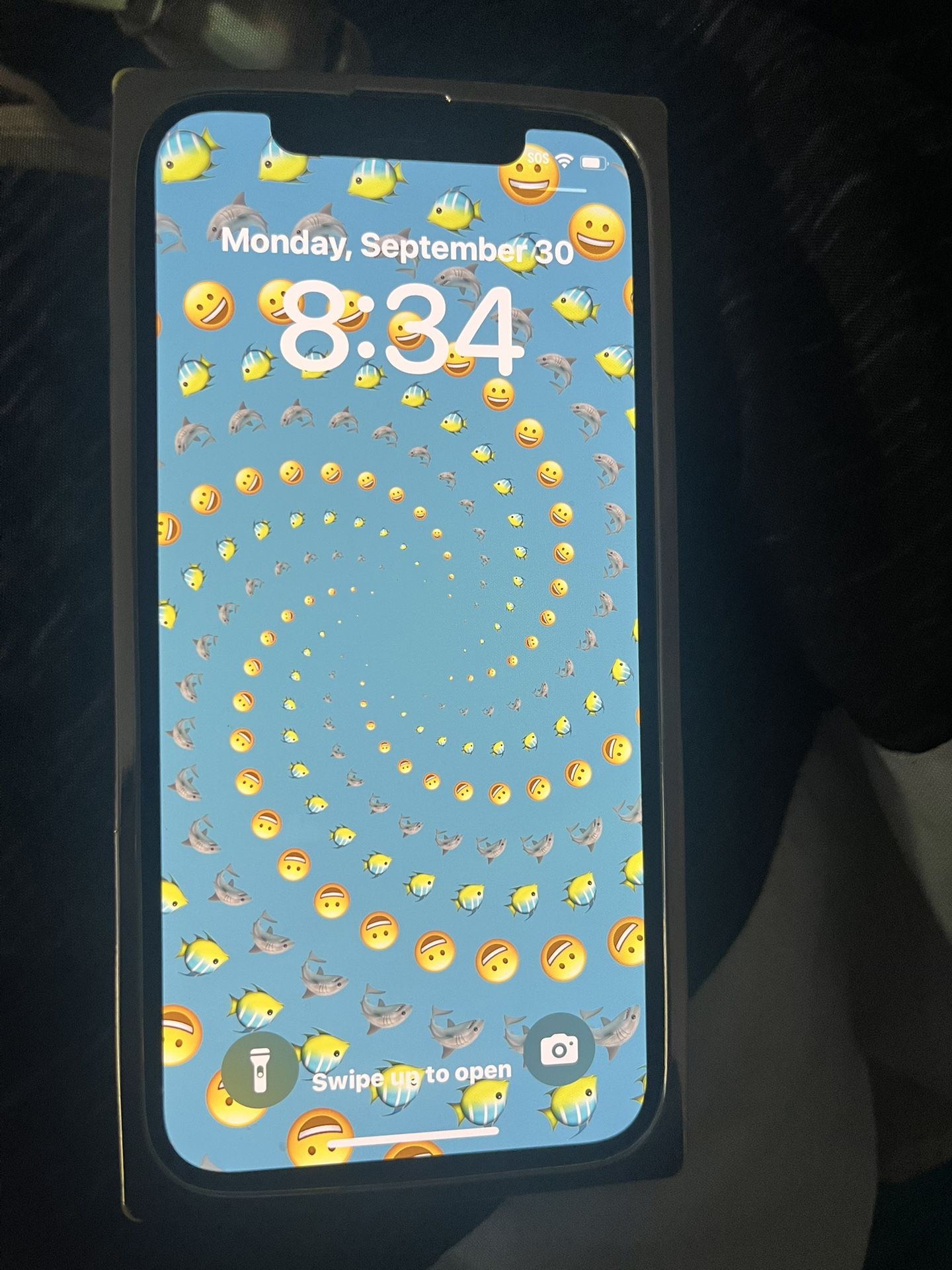 iPhone 12