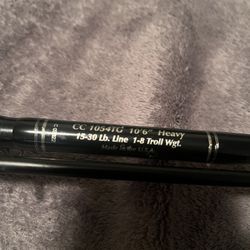 Bait Caster Reel And Rod 