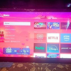 50 Inch Visio Plasma Tv With Mount And Remote 