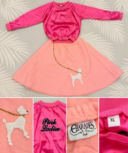 💕 50s Poodle Skirt Costume – Girls XL – $15 💕