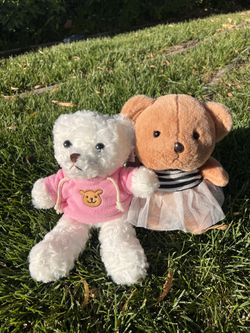 2 for $18 Teddy Bear Pair 🎁 Cute Couple Plush Gift